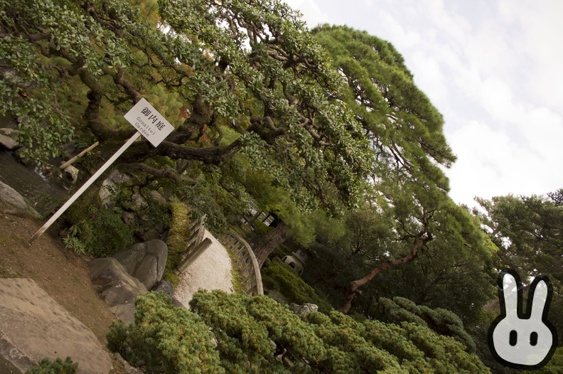 Kyoto Imperial Palace 103.jpg